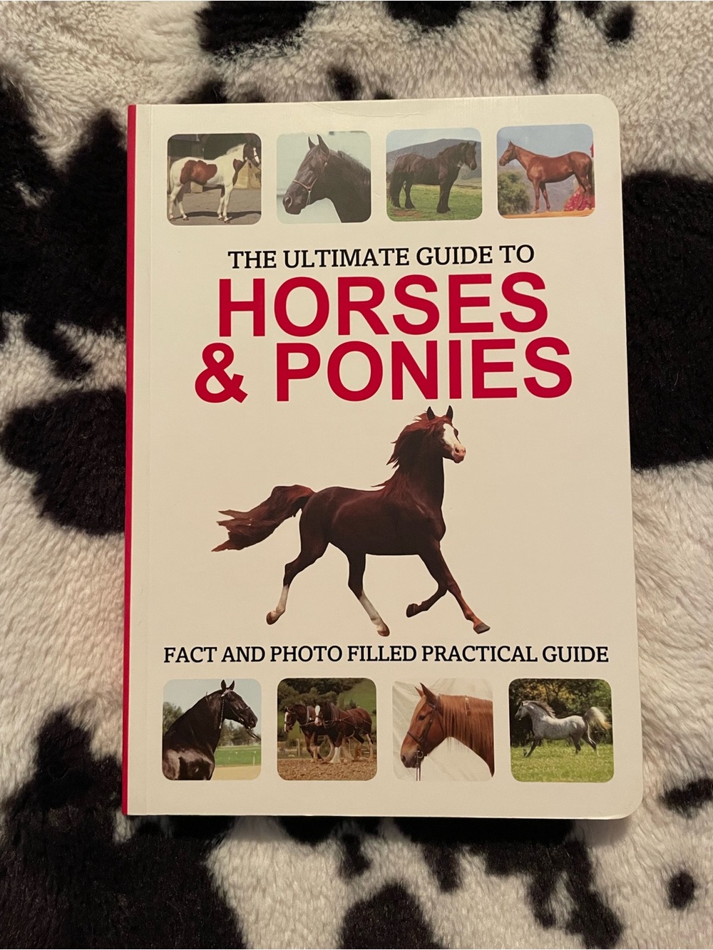 The Ultimate Guide to Horse and Ponies Paperback Book NWT